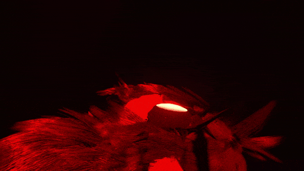 a 3D animation i created of my original character, occams.